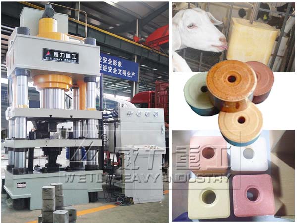 牛羊舔磚液壓機加工生產(chǎn)現(xiàn)場